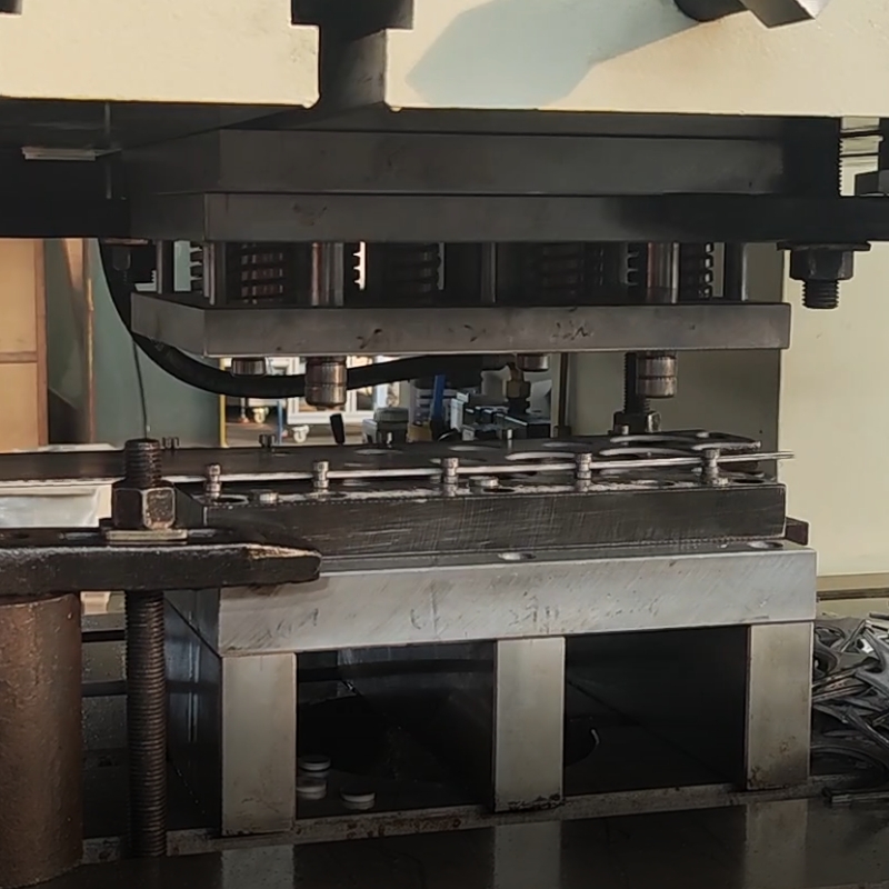 Gasket stamping mold
